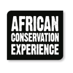 5-African-Conservation-Experience