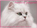 Purrfectly Pampered logo