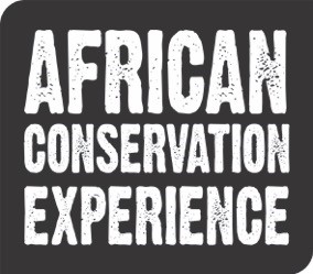African Conservation Experience Logo