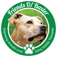 friends of baxter