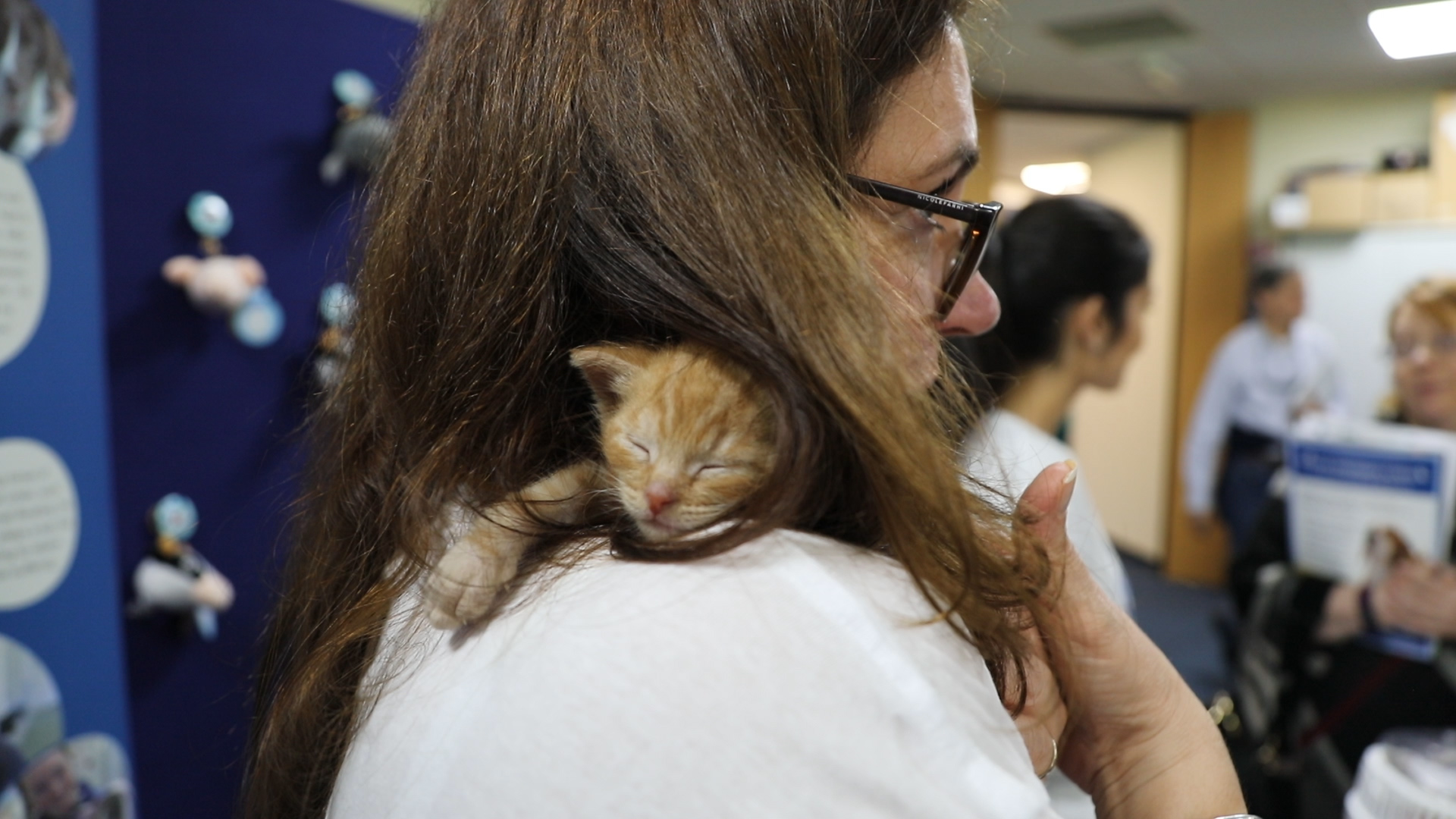 Careers With Animals Day Exhibitor and Cat