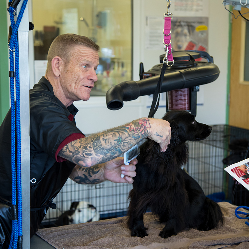 Dog Grooming Demonstration at our Leeds Event