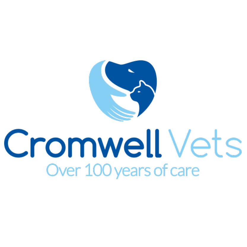 Cromwell Vets